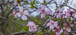 IMG_4813_RES